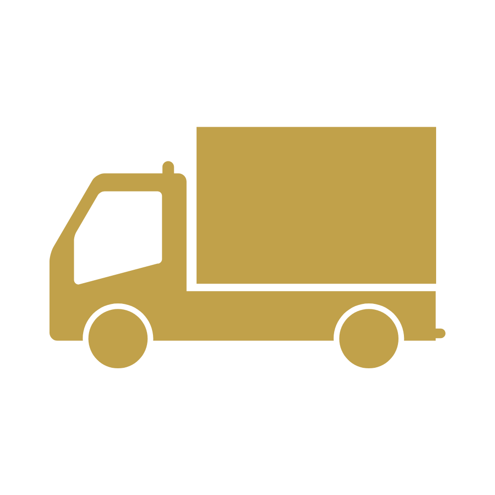 Fast shipping and caring service – Satinski icon